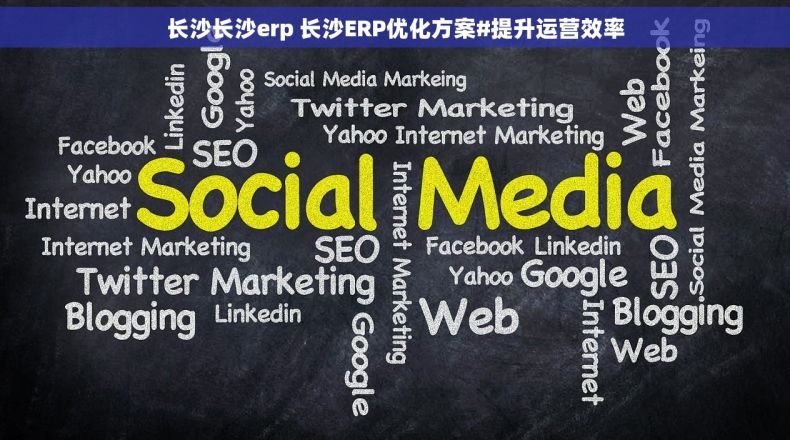 长沙长沙erp 长沙ERP优化方案#提升运营效率
