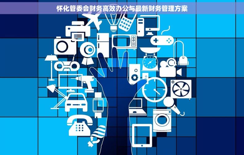 怀化管委会财务高效办公与最新财务管理方案