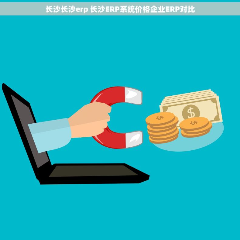 长沙长沙erp 长沙ERP系统价格企业ERP对比