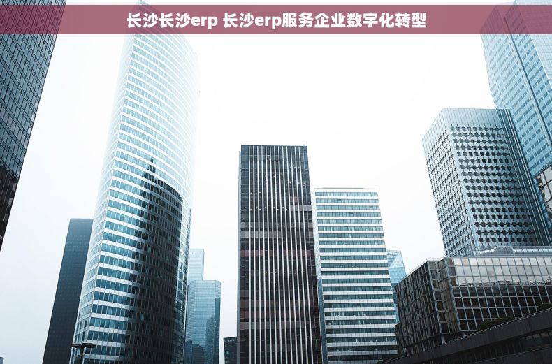 长沙长沙erp 长沙erp服务企业数字化转型