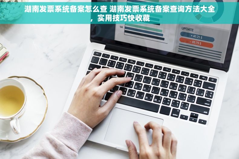 湖南发票系统备案怎么查 湖南发票系统备案查询方法大全，实用技巧快收藏