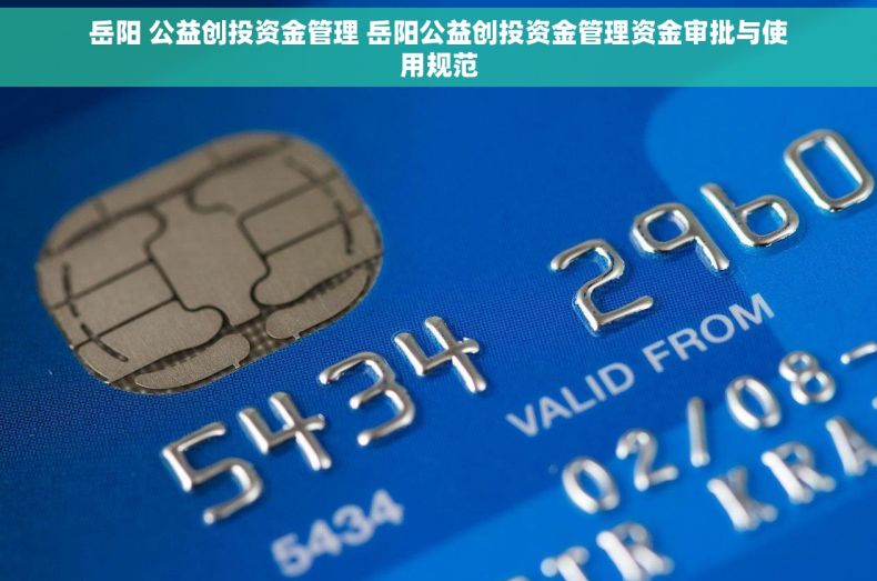 岳阳 公益创投资金管理 岳阳公益创投资金管理资金审批与使用规范