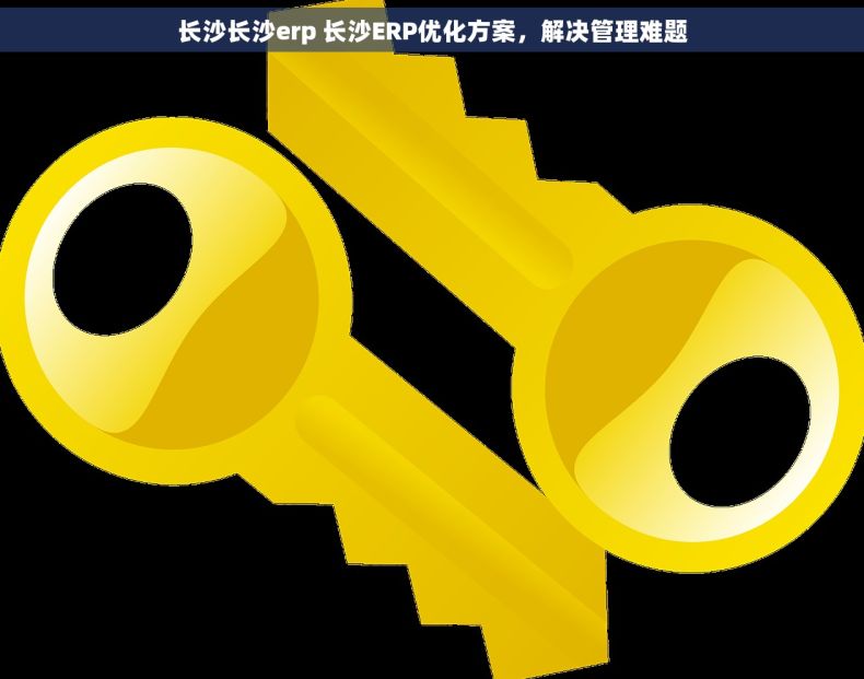 长沙长沙erp 长沙ERP优化方案，解决管理难题