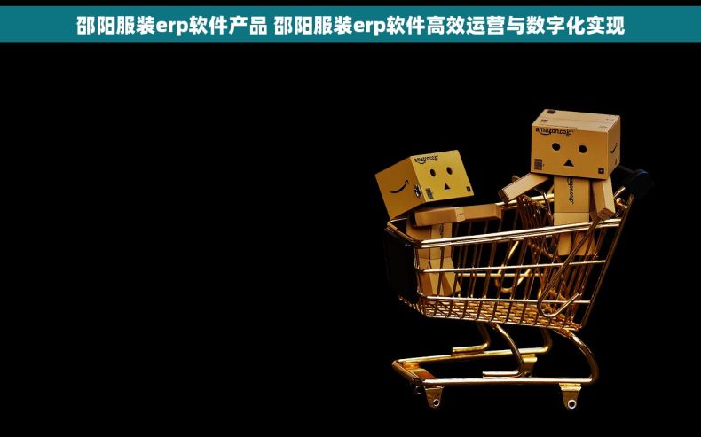 邵阳服装erp软件产品 邵阳服装erp软件高效运营与数字化实现