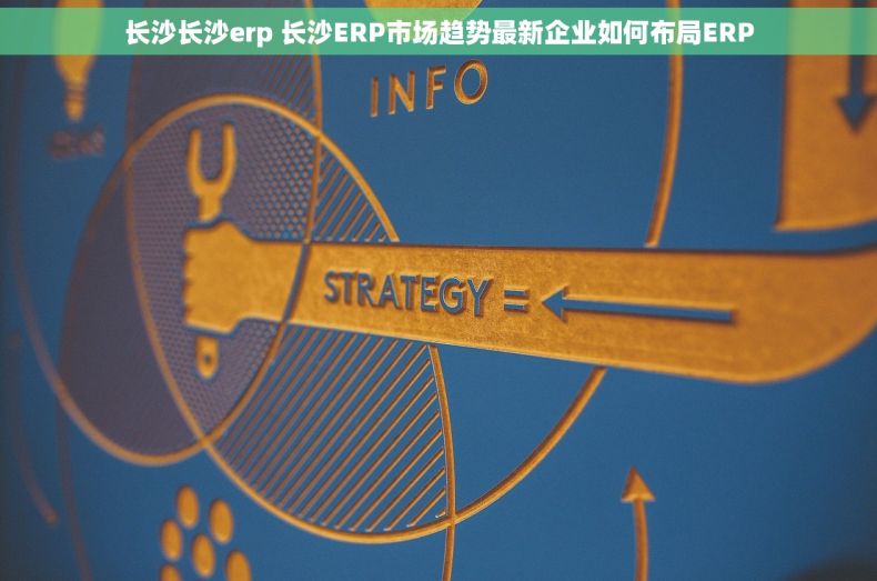 长沙长沙erp 长沙ERP市场趋势最新企业如何布局ERP
