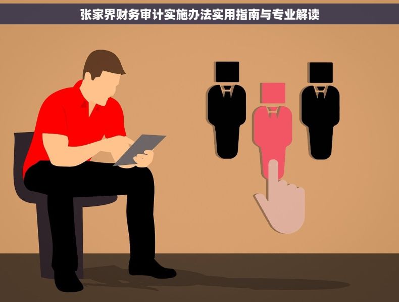 张家界财务审计实施办法实用指南与专业解读