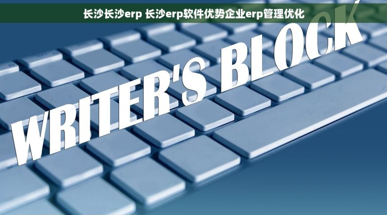 长沙长沙erp 长沙erp软件优势企业erp管理优化