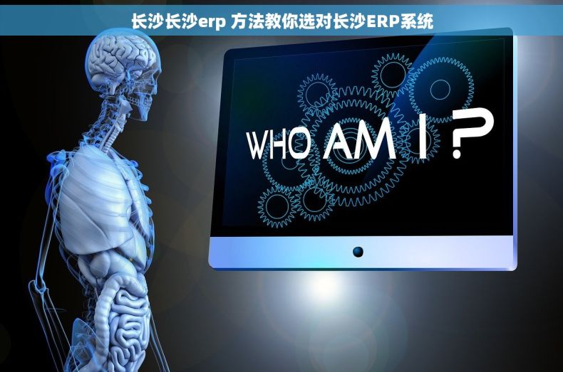 长沙长沙erp 方法教你选对长沙ERP系统