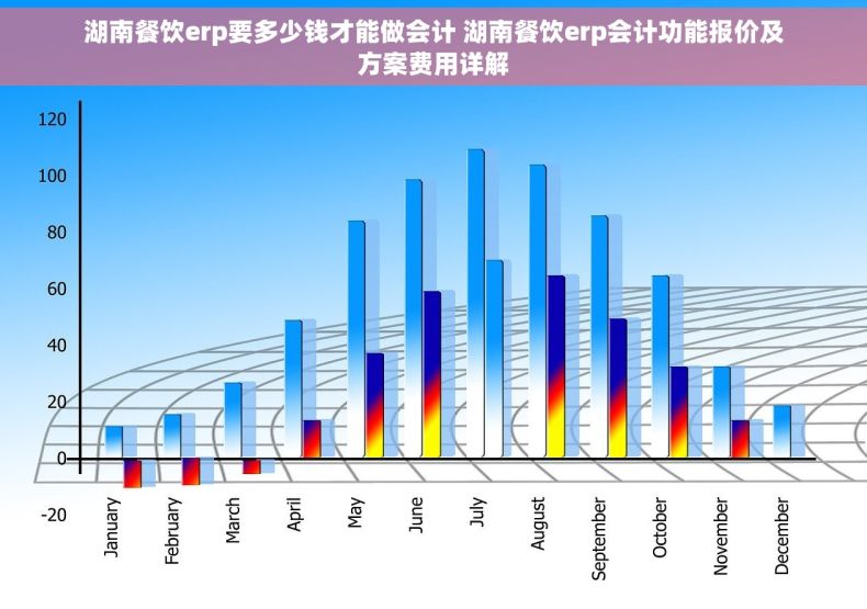 湖南餐饮erp要多少钱才能做会计 湖南餐饮erp会计功能报价及方案费用详解