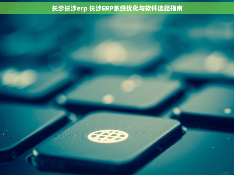 长沙长沙erp 长沙ERP系统优化与软件选择指南