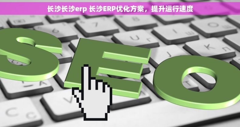 长沙长沙erp 长沙ERP优化方案，提升运行速度