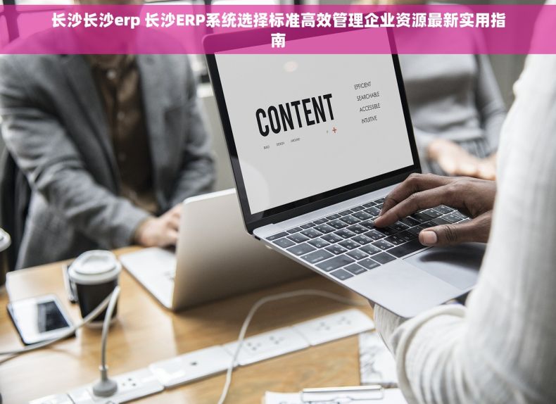 长沙长沙erp 长沙ERP系统选择标准高效管理企业资源最新实用指南