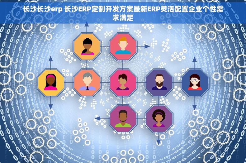 长沙长沙erp 长沙ERP定制开发方案最新ERP灵活配置企业个性需求满足