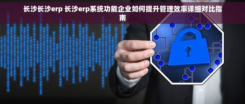 长沙长沙erp 长沙erp系统功能企业如何提升管理效率详细对比指南