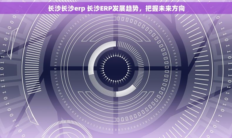 长沙长沙erp 长沙ERP发展趋势，把握未来方向