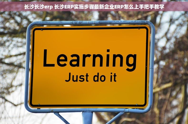 长沙长沙erp 长沙ERP实施步骤最新企业ERP怎么上手把手教学