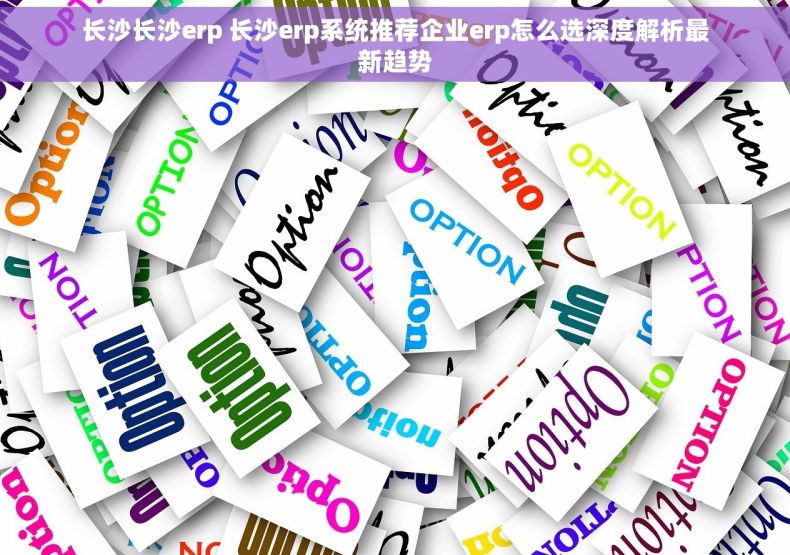 长沙长沙erp 长沙erp系统推荐企业erp怎么选深度解析最新趋势