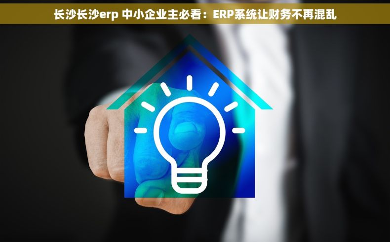 长沙长沙erp 中小企业主必看：ERP系统让财务不再混乱