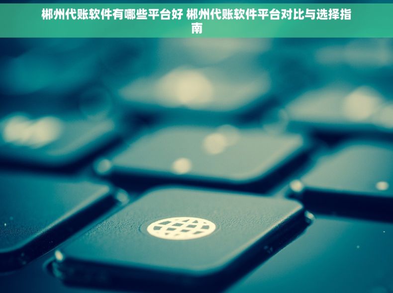 郴州代账软件有哪些平台好 郴州代账软件平台对比与选择指南