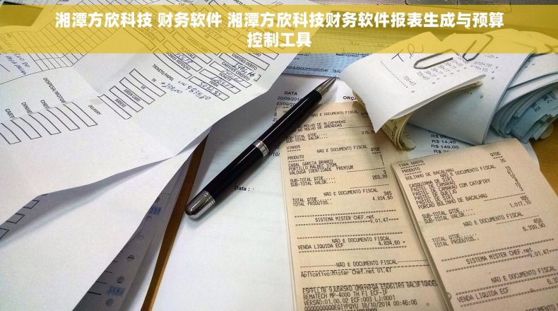 湘潭方欣科技 财务软件 湘潭方欣科技财务软件报表生成与预算控制工具