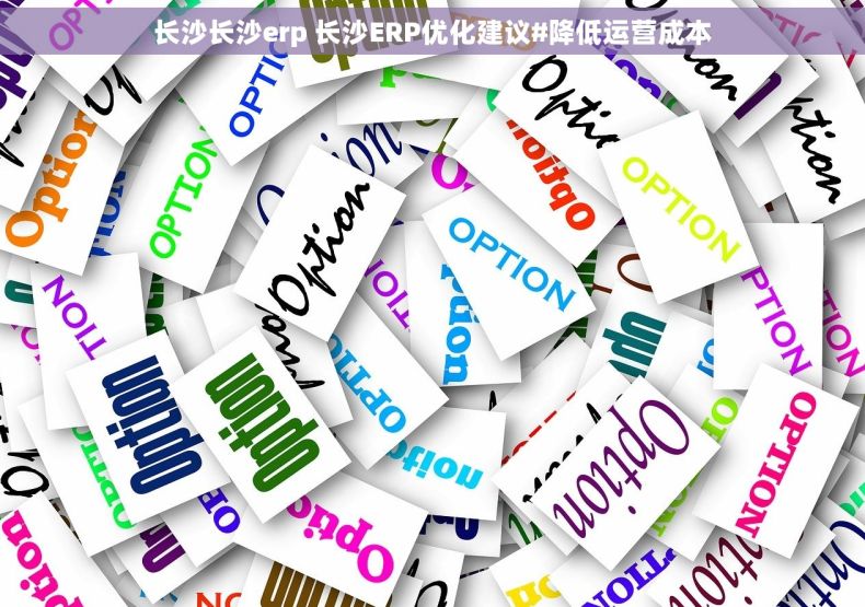 长沙长沙erp 长沙ERP优化建议#降低运营成本