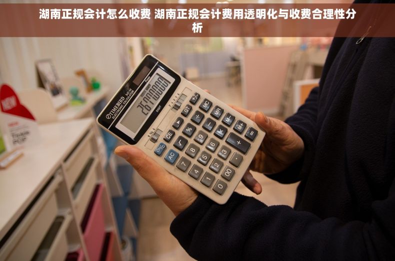 湖南正规会计怎么收费 湖南正规会计费用透明化与收费合理性分析