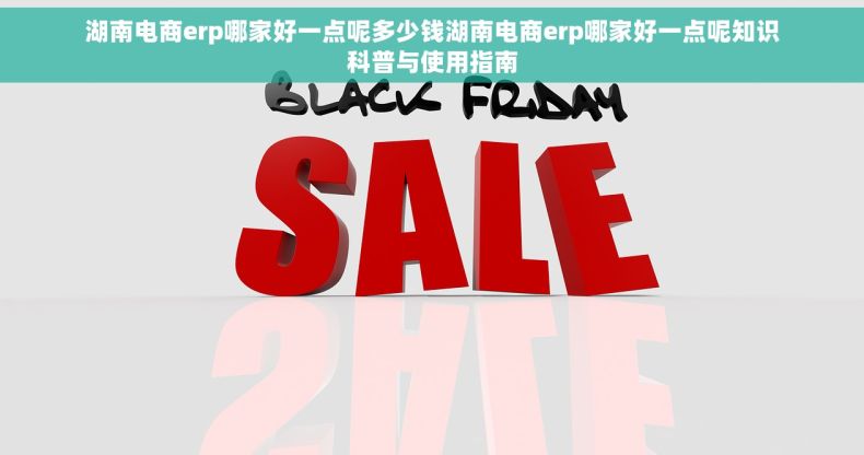 湖南电商erp哪家好一点呢多少钱湖南电商erp哪家好一点呢知识科普与使用指南