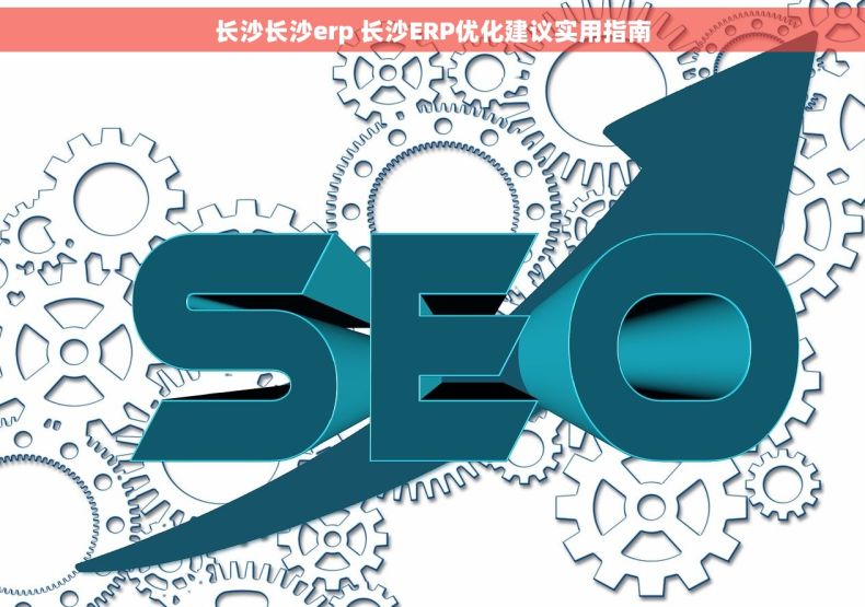 长沙长沙erp 长沙ERP优化建议实用指南