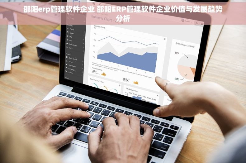 邵阳erp管理软件企业 邵阳ERP管理软件企业价值与发展趋势分析