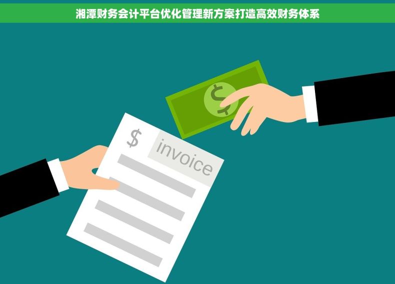 湘潭财务会计平台优化管理新方案打造高效财务体系