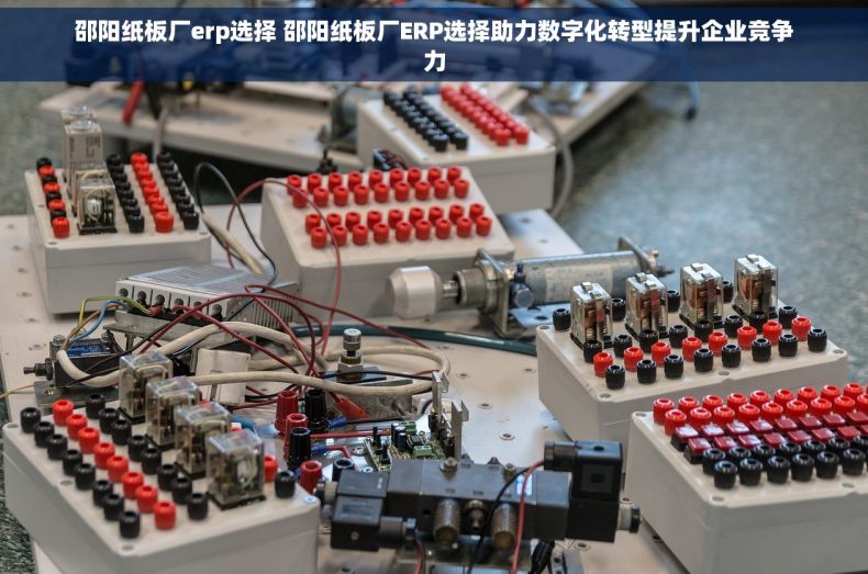 邵阳纸板厂erp选择 邵阳纸板厂ERP选择助力数字化转型提升企业竞争力