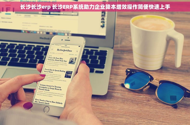 长沙长沙erp 长沙ERP系统助力企业降本增效操作简便快速上手
