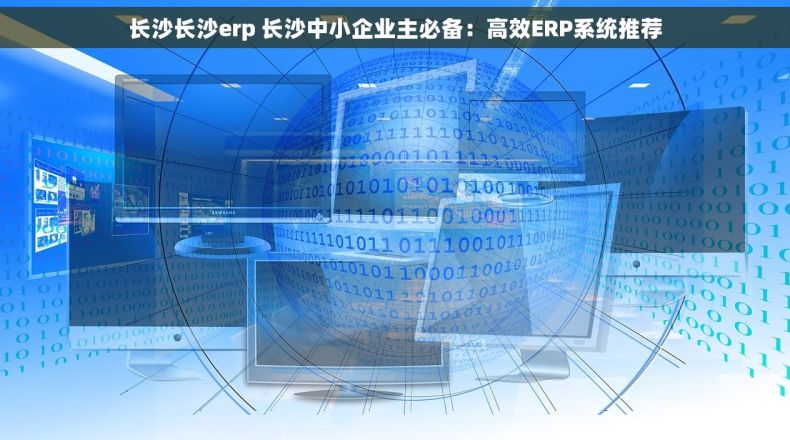 长沙长沙erp 长沙中小企业主必备：高效ERP系统推荐