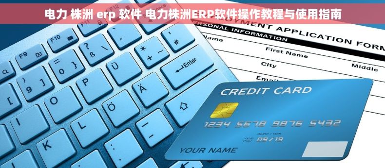 电力 株洲 erp 软件 电力株洲ERP软件操作教程与使用指南