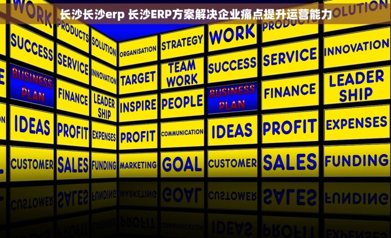 长沙长沙erp 长沙ERP方案解决企业痛点提升运营能力