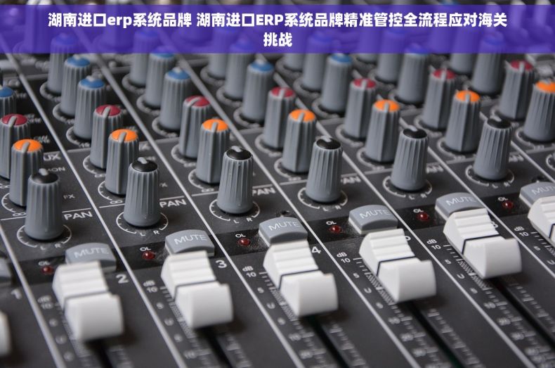 湖南进口erp系统品牌 湖南进口ERP系统品牌精准管控全流程应对海关挑战