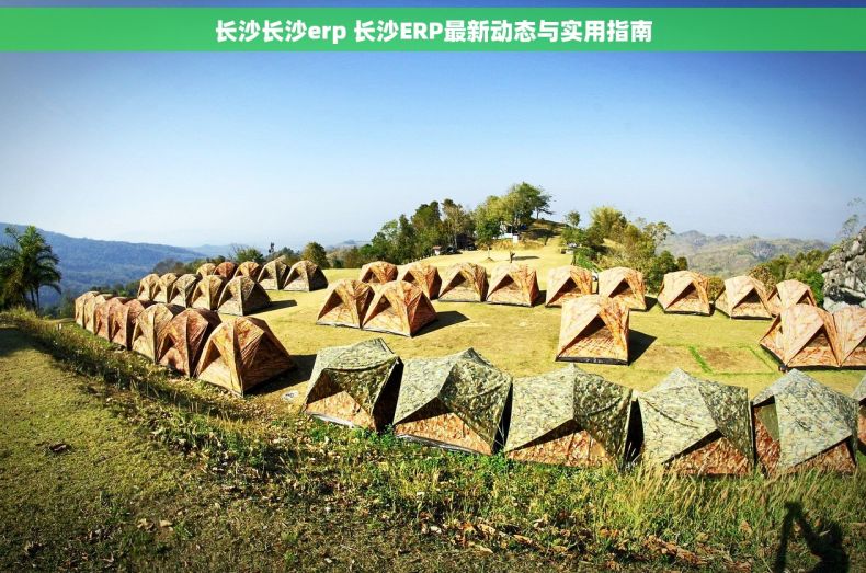 长沙长沙erp 长沙ERP最新动态与实用指南