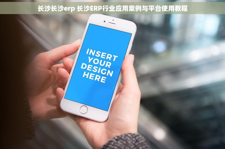 长沙长沙erp 长沙ERP行业应用案例与平台使用教程