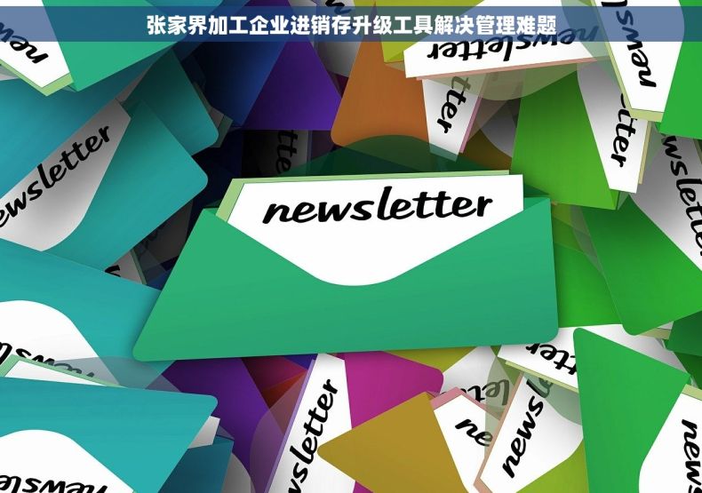 张家界加工企业进销存升级工具解决管理难题