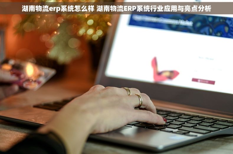 湖南物流erp系统怎么样 湖南物流ERP系统行业应用与亮点分析