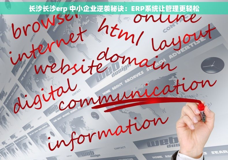 长沙长沙erp 中小企业逆袭秘诀：ERP系统让管理更轻松
