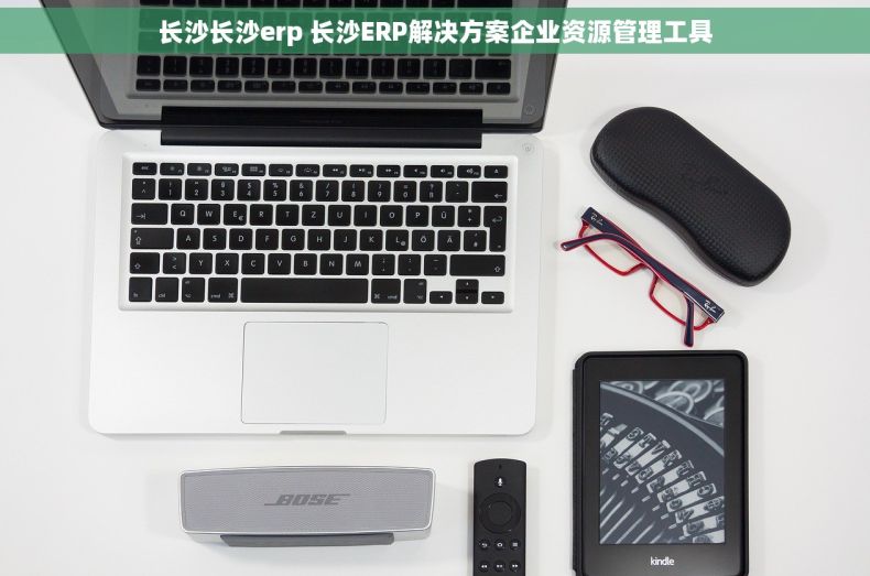 长沙长沙erp 长沙ERP解决方案企业资源管理工具