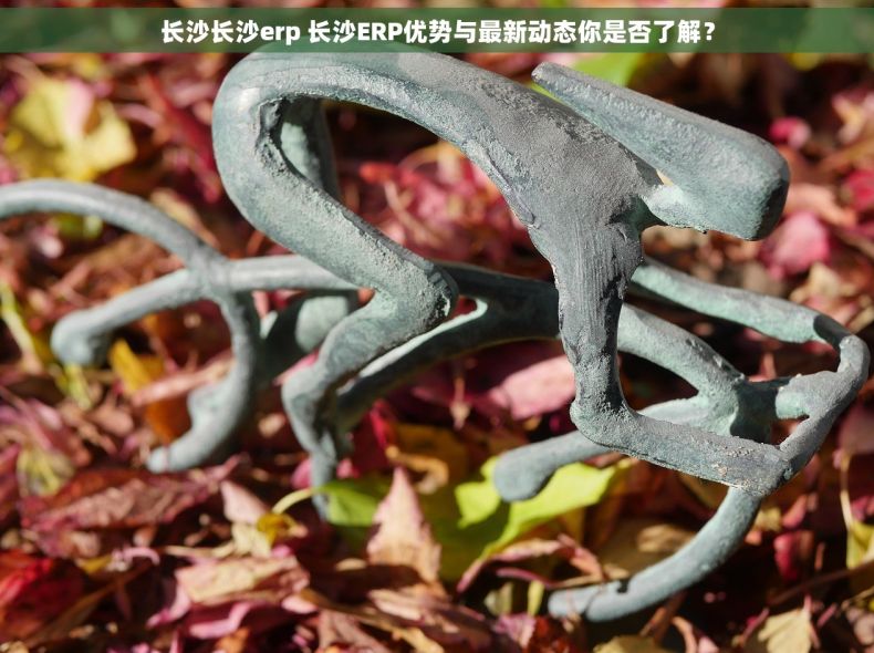 长沙长沙erp 长沙ERP优势与最新动态你是否了解？