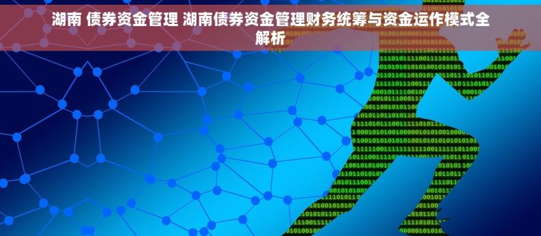湖南 债券资金管理 湖南债券资金管理财务统筹与资金运作模式全解析