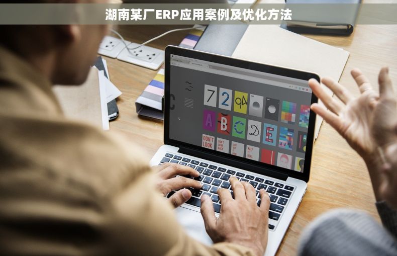 湖南某厂ERP应用案例及优化方法