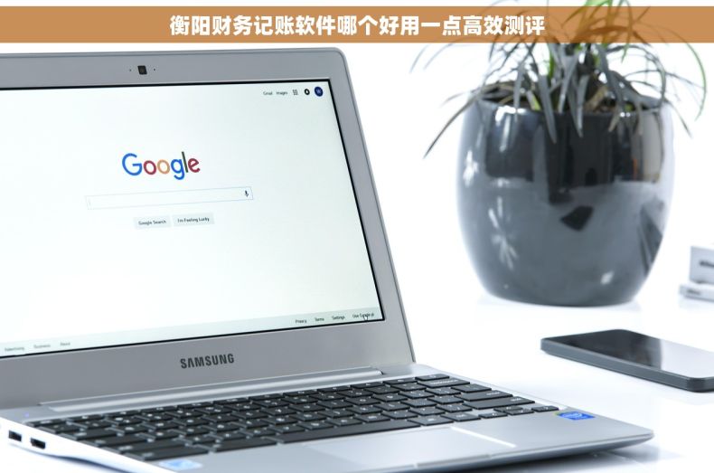 衡阳财务记账软件哪个好用一点高效测评