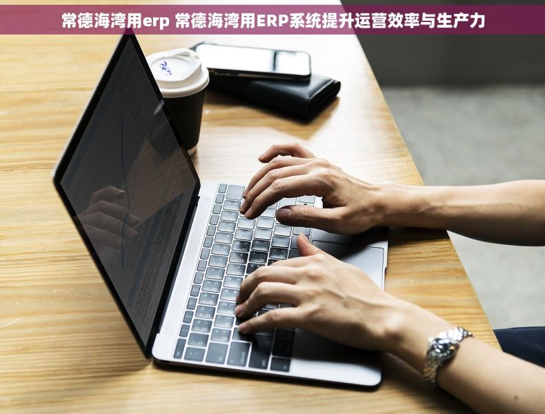 常德海湾用erp 常德海湾用ERP系统提升运营效率与生产力