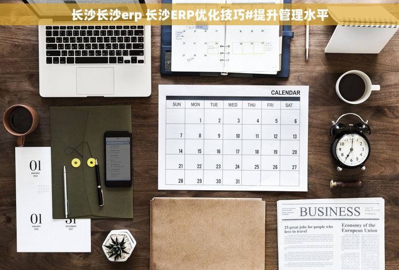 长沙长沙erp 长沙ERP优化技巧#提升管理水平