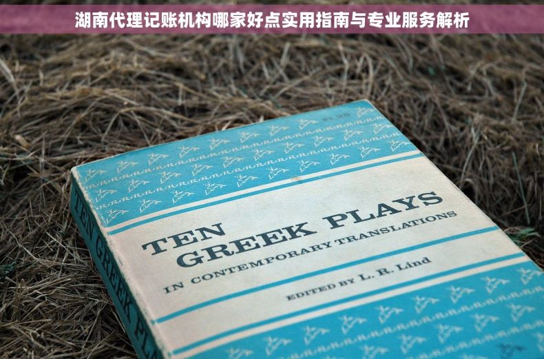 湖南代理记账机构哪家好点实用指南与专业服务解析