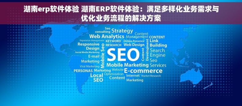 湖南erp软件体验 湖南ERP软件体验：满足多样化业务需求与优化业务流程的解决方案